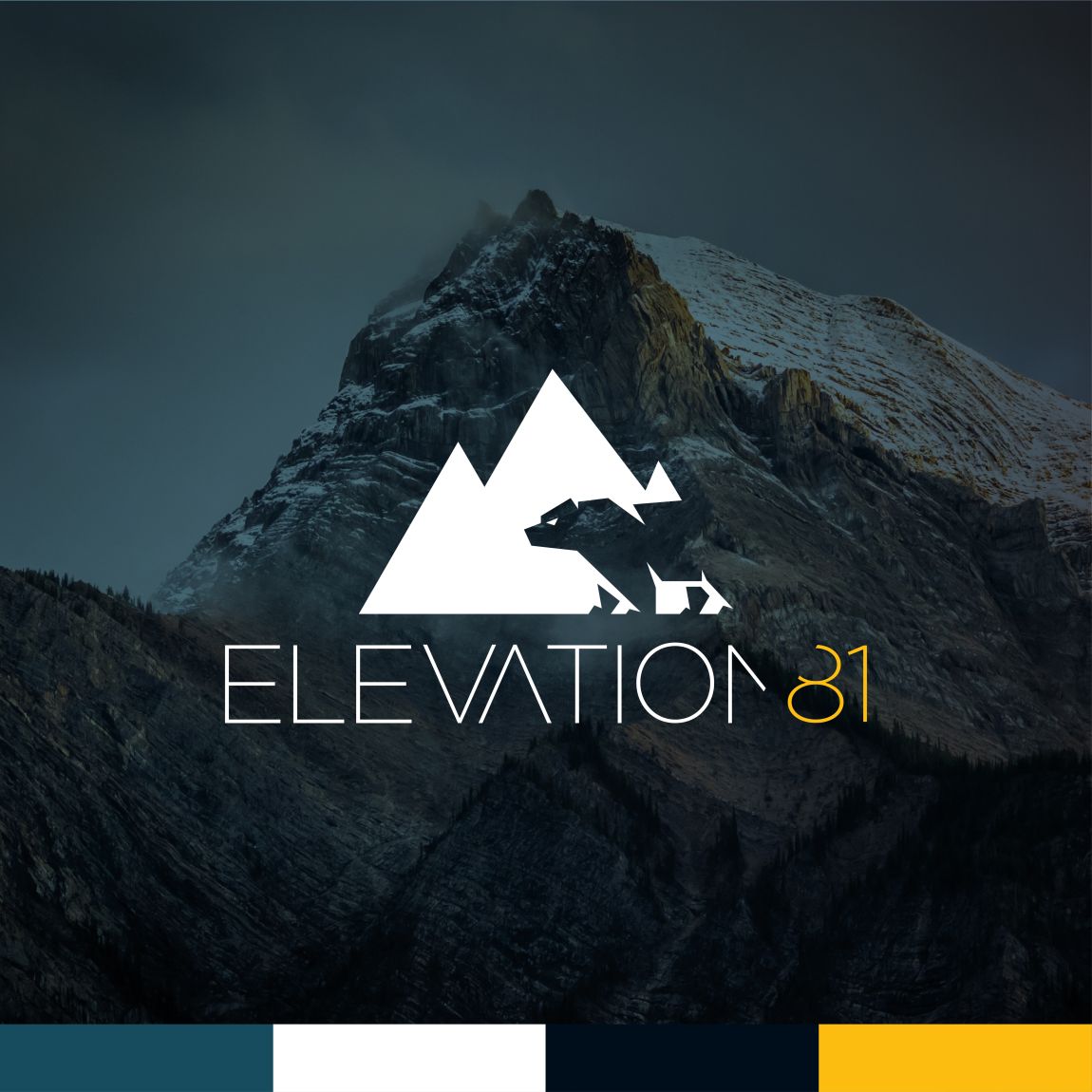 Logo and brand design