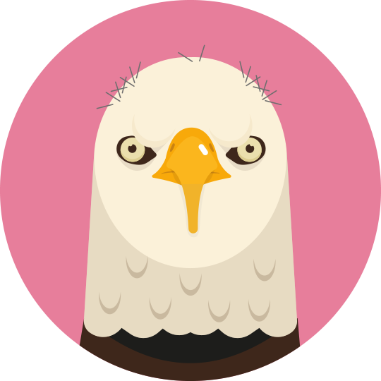 Scott Jackson - Operations Director